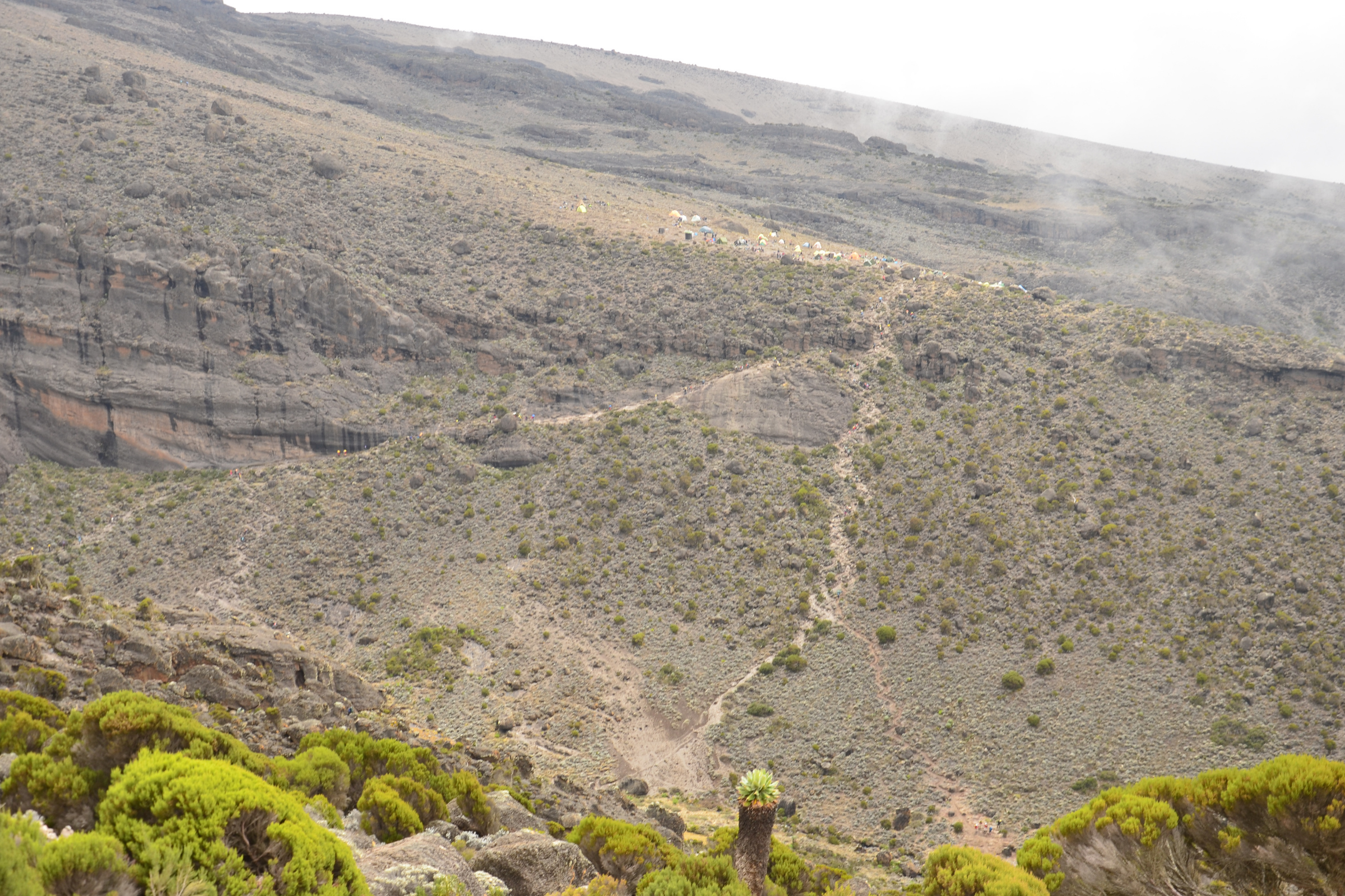 barranco camp (3).webp